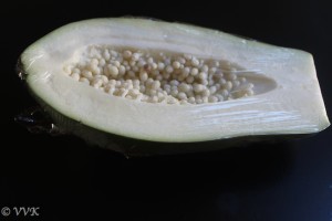 RawPapaya