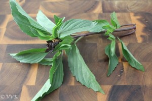 ThaiBasil