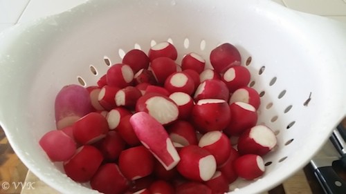 Homegrown raw red radishes straight from the garden