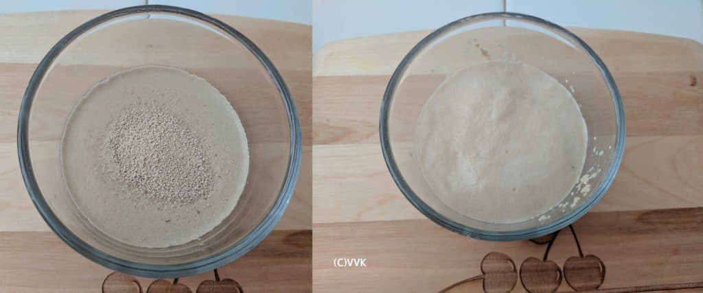 Adding the yeast to the lukewarm water and letting it sit