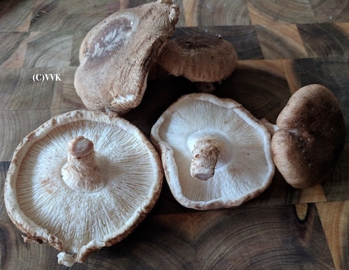 Raw shiitake mushrooms on a wooden board