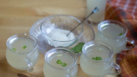 aloe vera saft direkt aus der pflanze Bio Aloe Vera Saft  Natrlicher Vital-Drink fr Dich