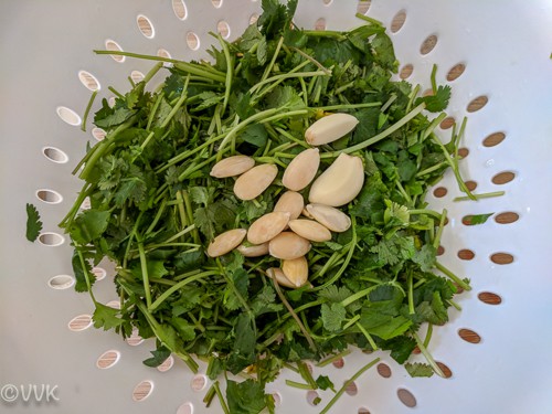 Adding cilantro, garlic, and almonds