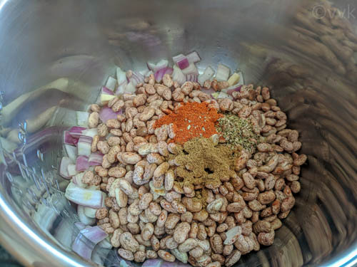 Adding the cumin powder, red chili powder and dried oregano