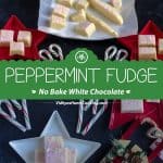 Peppermint Fudge collage with text overlay