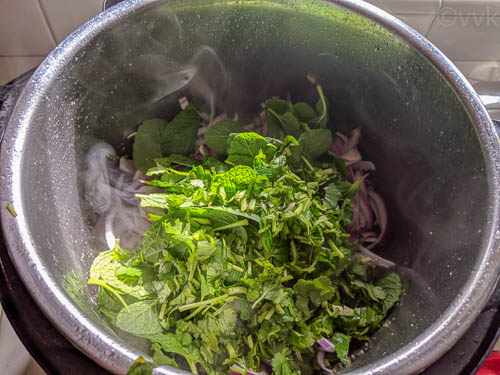 ambur veg biryani step - adding the herbs