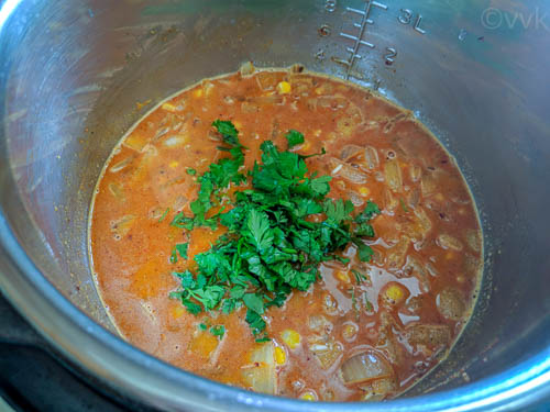 adding cilantro xacuti pulav