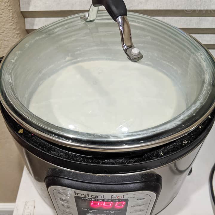 fermenting the idli batter in instant pot