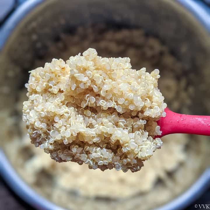 fluffy quinoa made in instant pot