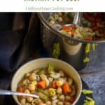 vegan chicken noodle soup made in instant pot served on white bowl with text overlay for pinterest