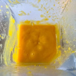 mango concentrate blended