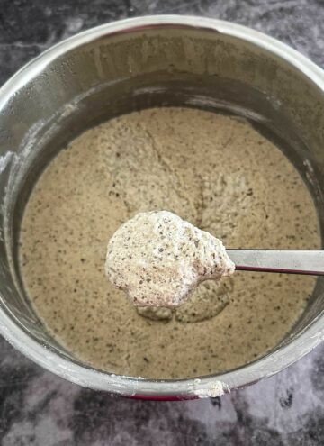 fermented millet idli dosa batter