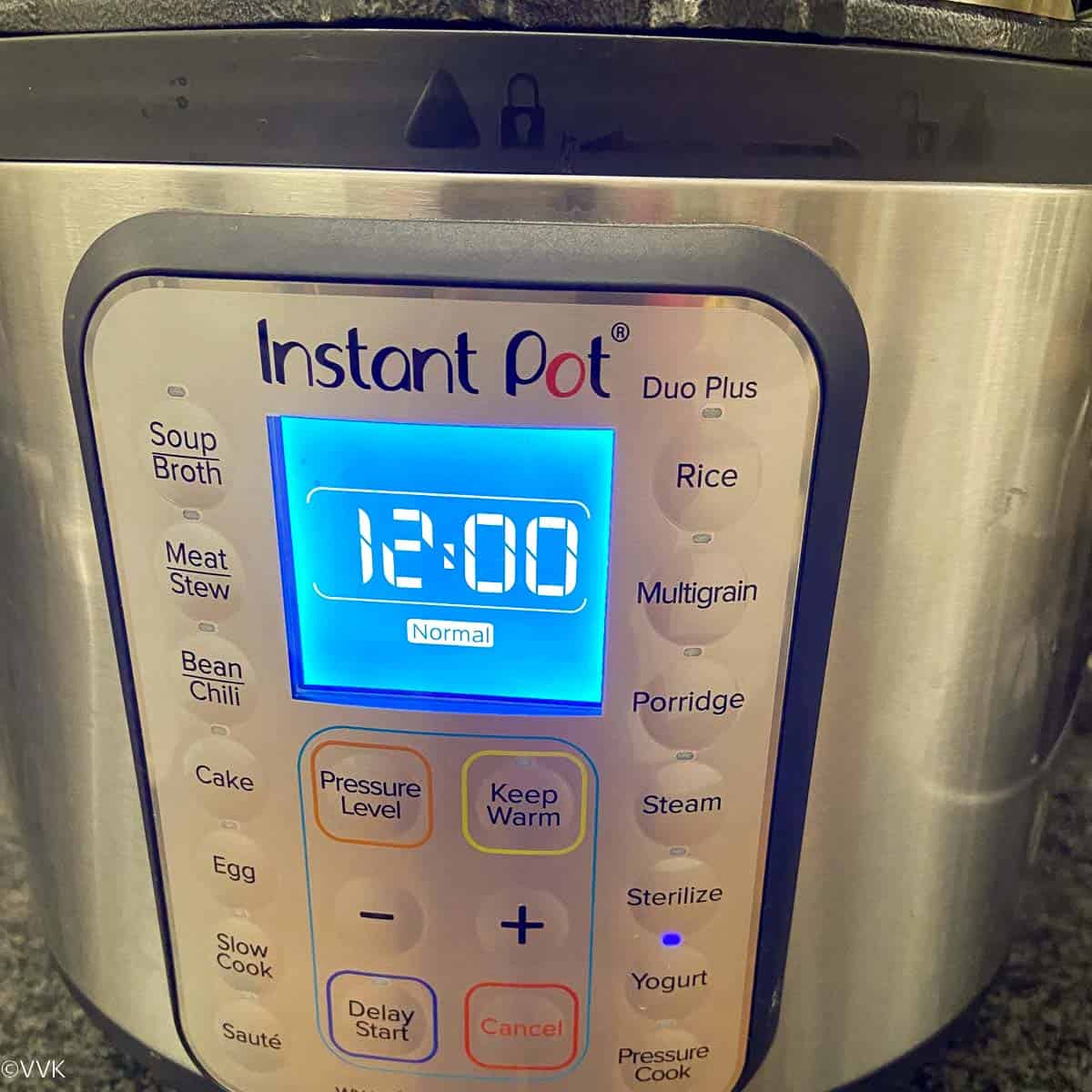 fermenting in Instant Pot for 12 hours