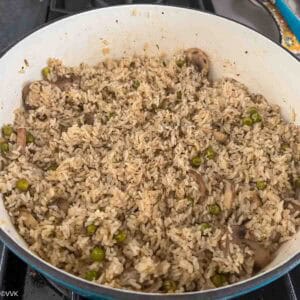 cooled down and fluffed biryani