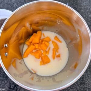 adding the other ingredients to the blender